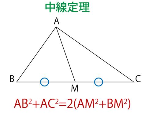 中線意思|中線的意思